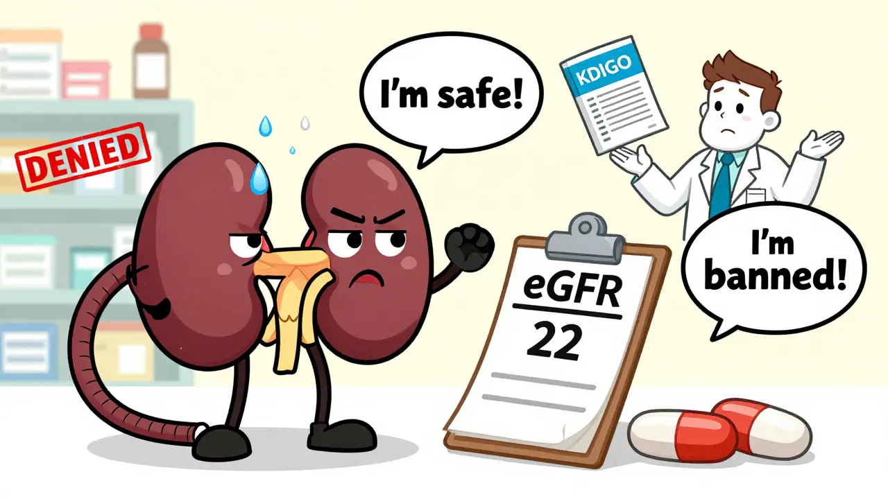 A worried cartoon kidney watches two pills argue over a 'eGFR 22' clipboard, with a doctor shrugging and pharmacy denial stamps in the background.